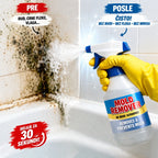Mold Remover