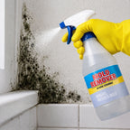 Mold Remover