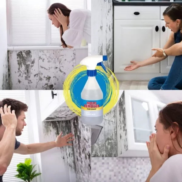 Mold Remover