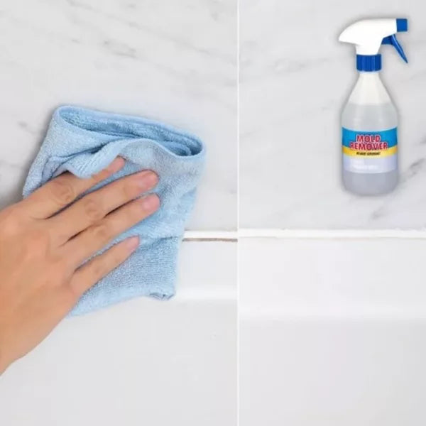 Mold Remover